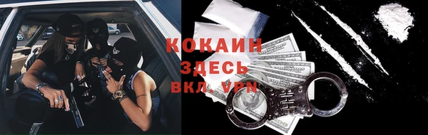 стафф Кодинск