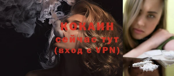 стафф Кодинск