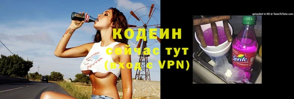 стафф Кодинск
