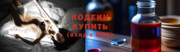 стафф Кодинск