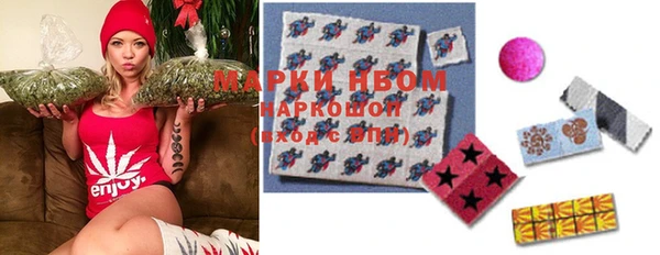 стафф Кодинск