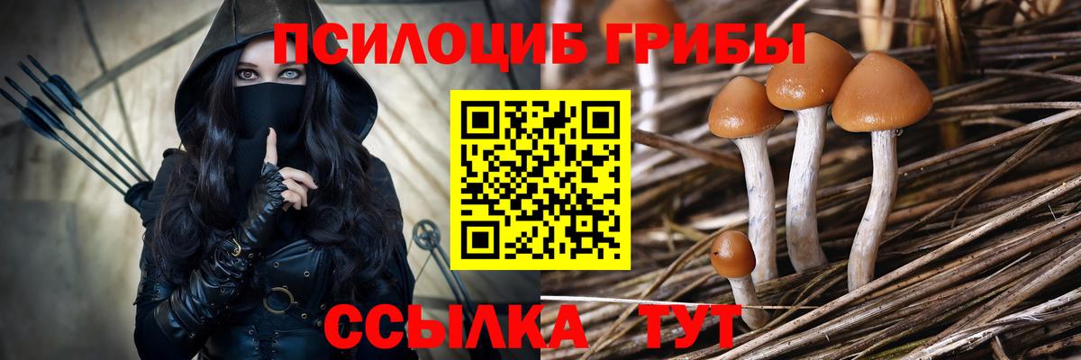 Котельники  Псилоцибиновые грибы Magic Shrooms  Вход с VPN 