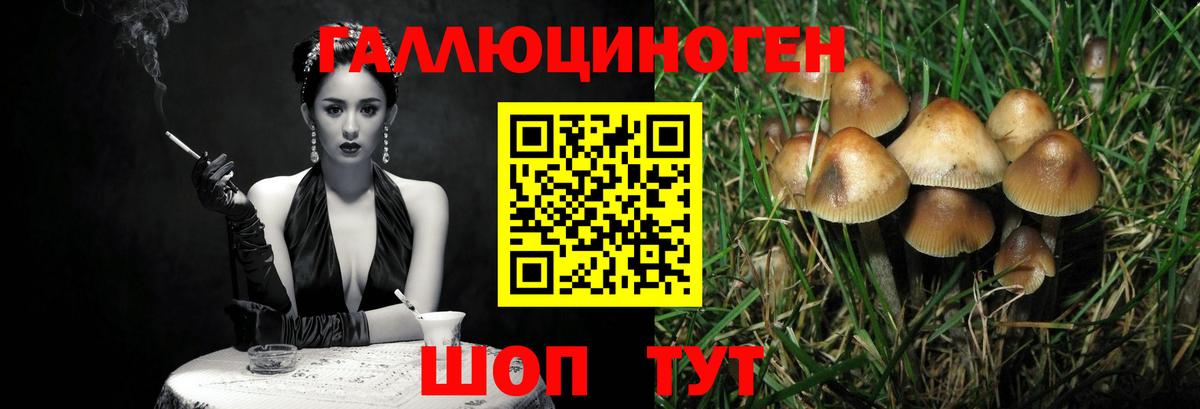 Галлюциногенные грибы Magic Shrooms Котельники